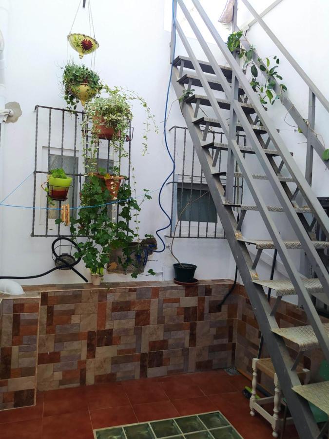 Yedra Cadiz Apartment Exterior photo
